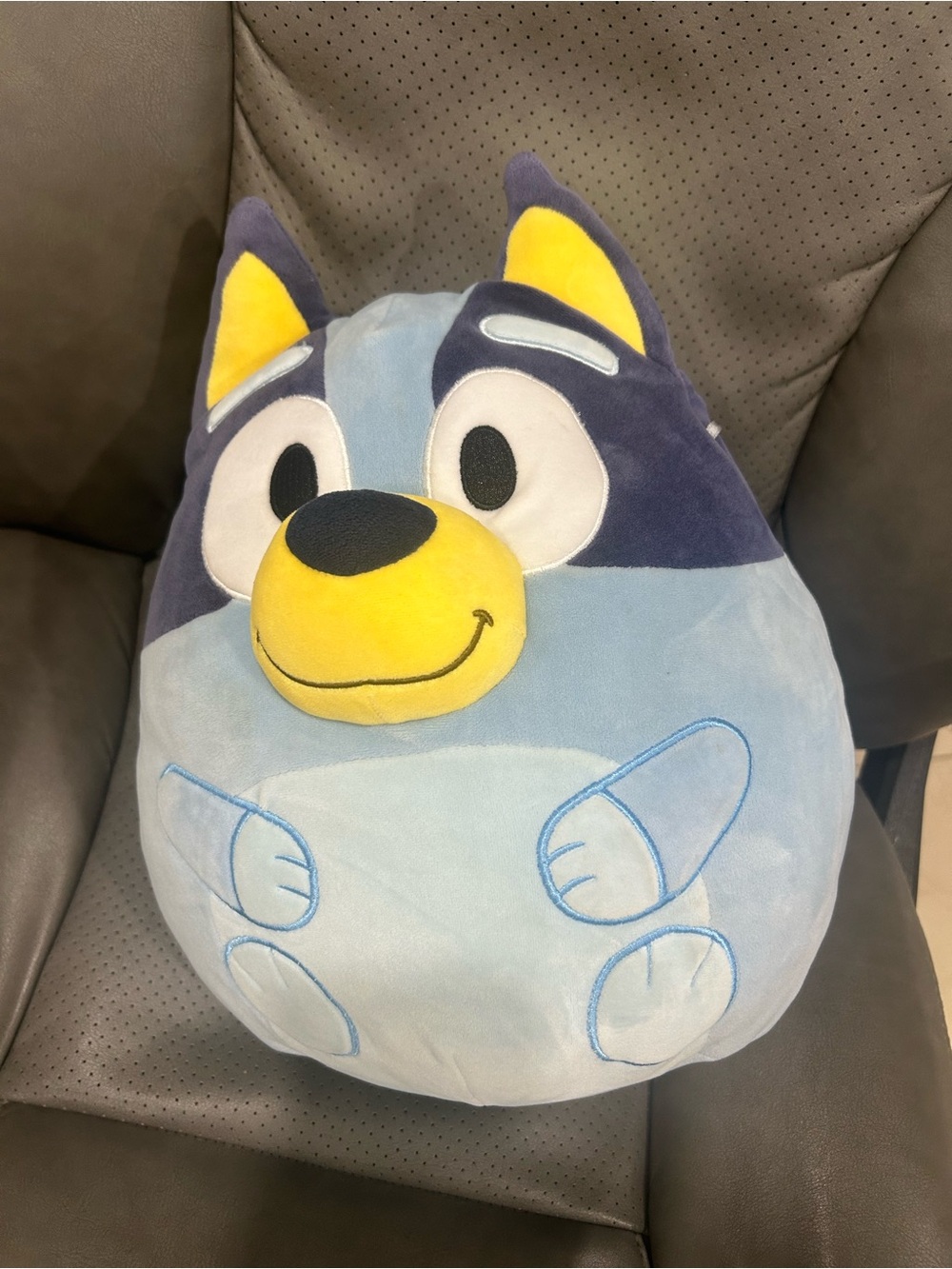 Bluey Squishmallow